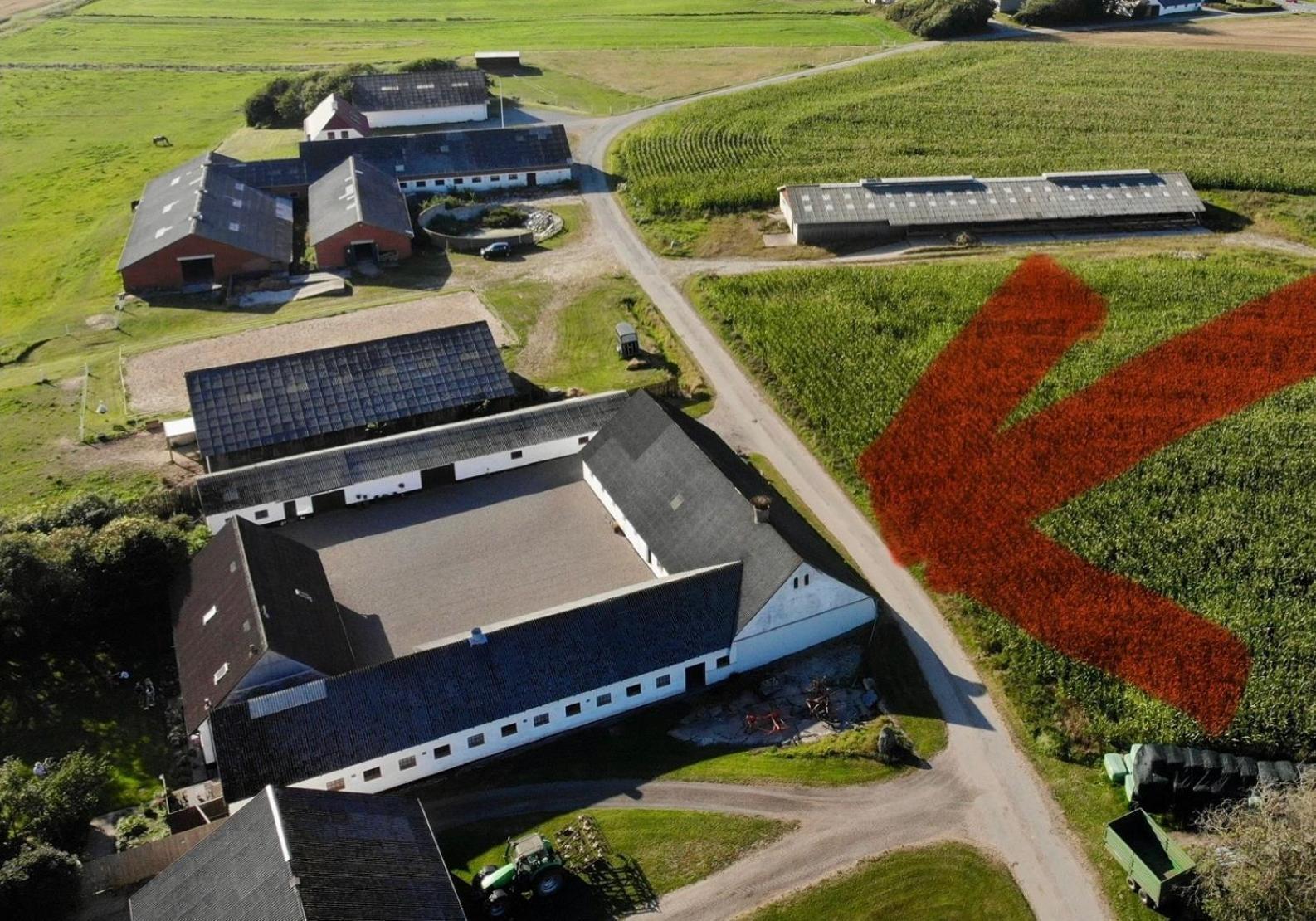 Lokken Farm Holiday Løkken Exterior foto