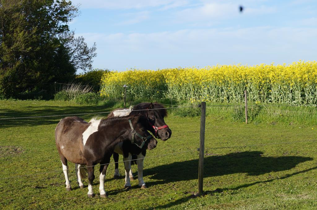 Lokken Farm Holiday Løkken Quarto foto