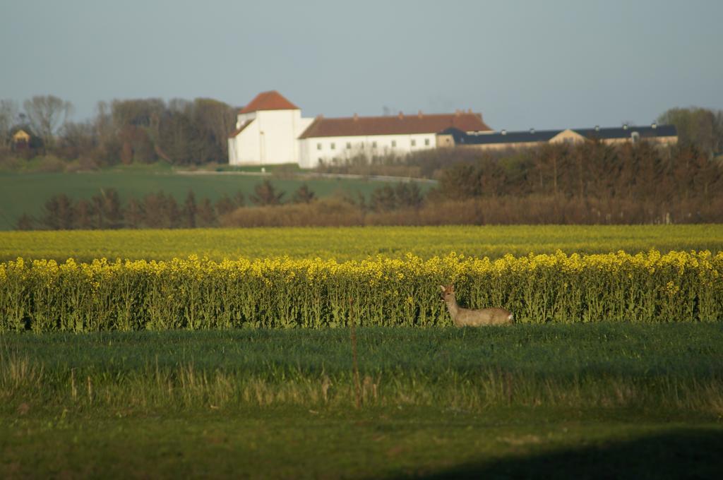 Lokken Farm Holiday Løkken Quarto foto