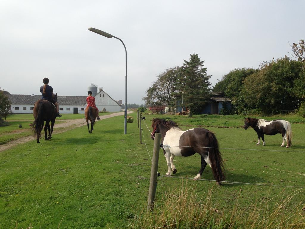 Lokken Farm Holiday Løkken Exterior foto